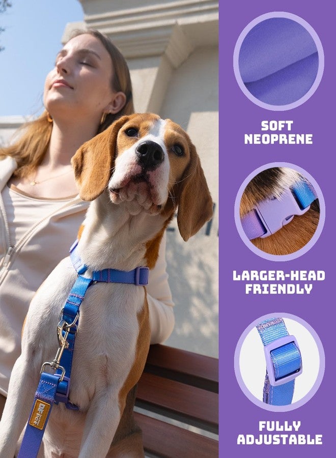 DF Freedom No Pull Martingale Dog Harness and Leash Set, Front Clip Adjustable Harness with Reflective & Padded Handle, Easy Walking & Training, Rainbow, 1", Chest 24.4" - 32.4" - Image 3